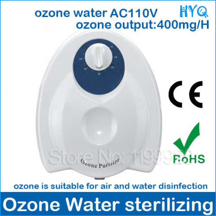 Hot Selling Ozone Generator Water Filter System Water Purifier
