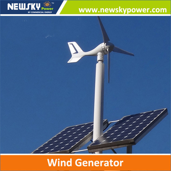 China Product Wind Solar Hybrid System