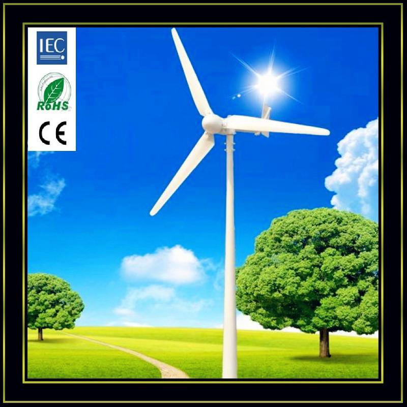 Wind Generator 1kw, Home Use Wind Turbine With 3 Years Free Maintainance