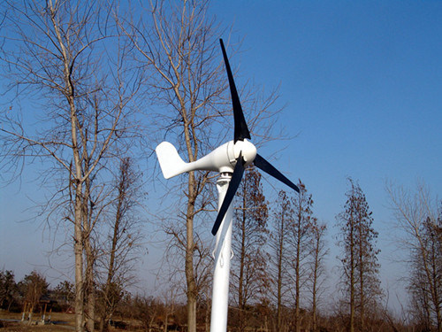 100W Wind Turbine/Wind Generator/Windmill (J-100H)