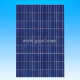 TUV Approved Poly 45 W Solar Cell Modules (POL-45W)