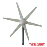 Wellsee Wind Turbine (6 leaves Wind Turbine/ A horizontal axis wind turbine) Ws-Wt 200W