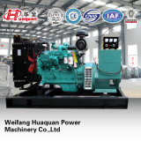 Continuously Power Plant Generator Manufacturer