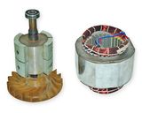 Rare Earth Permanent Magnet Alternator