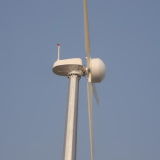 Grid Tied Wind Power Turbine Generator 30kw