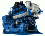 Mwm Gas Engine Power Generator Set (400kw-800kw)