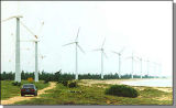 Blades of Wind Energy Generation System