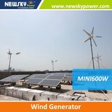 High Power AC Motor 12V DC Wind Generator