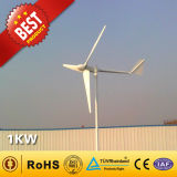 Wind Turbine / Wind Power Generator (1000W)