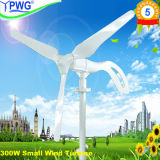Hot! off Grid Vertical 300W Wind Generator for Home Use off Grid System, Vawt for Roof Top Low Start Wind Speed