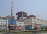 Biomass Power Plant 10MW50MW100MW200MW300MW  (XTGG)