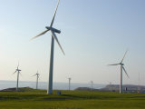 20kw Wind Turbine (SFD-20000)