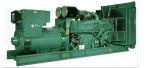 Africa Generator, 800kw Power Generator with Diesel Engine