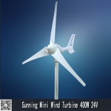 Home Wind Power Generator, 400W Small Wind Turbine Generator (MINI-400W 24V)