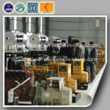 Best Seller CE & ISO Approved 600kw Biomass Generator Set