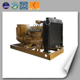 Lhbg100 Biogas Genset Gas Power Generator with CE/ISO Approved