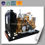 CE Approved 20kw Small Genset Biogas Natural Gas Generator