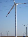 Three Blade Wind Generator Steel Pole