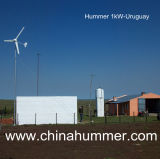 Home Wind Power Generator Set 1000W for Rooftop