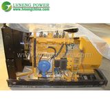 Natural Gas Power Generator