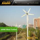 Residential Wind Generator 600W DC Motor Wind Turbine Home Use