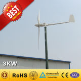 Wind Turbine / Wind Power Generator (3000W)