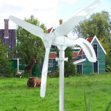 Angel Series 200W/300W/400W Wind Turbine Generator for Street Light Use
