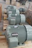 1250kw, 400kw 500kw Permanent Magnet Hydro Generator 50Hz