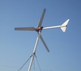 Wind Turbine (SPW-1500W)