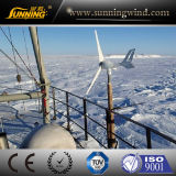 Coreless Small Wind Power Generator 300W