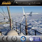 Coreless Small Wind Power Generator 300W