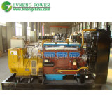 50kw Small Cummins Natural Gas Generator with Top Brand