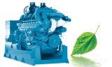 800kw Deutz Biomass Gasifier Gas Generator Set