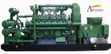 600kw High Automation Level Biogas Generator Set