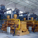 Biomass/ Syngas Cogeneration (20kw-1100kw)
