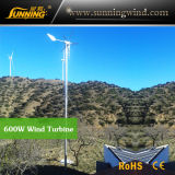 China Camping Wind Turbine Generator for Wind Solar Power System (MAX 600W)