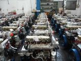 Diesel Generator for Nature Aspirated Type
