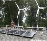600W Wind Solar Hybrid Power Home System