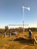 Wind Turbine (HY-1000W)