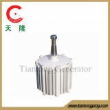 Ffl-300W/200r/DC28V Permanent Magnet Alternator (PMG/PMA/Hydro)