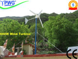 Horizontal Wind Generator 600W with CE (FD2.6-600)