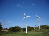 Small Wind Turbine Generator for Utility Power