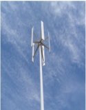 Wind Generator 100W Output Power (X-H-100)