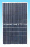 230W Polycrystalline Solar Module