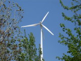 Low Rmp Wind Turbine System/Wind Power Generator