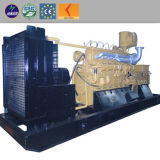 Hot Sale Abroad Power Generator Biomass Gasification Power Plant