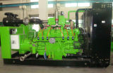 Biogas Generator Set/Biomass Generator/Biomass CHP