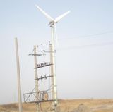 10kw Wind Generator with Free Stand Tower