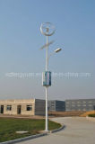 400W Wind Solar LED Street Lighting (GC-SL-80W)