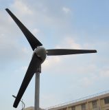 Wind Solar Hybrid System (400W)